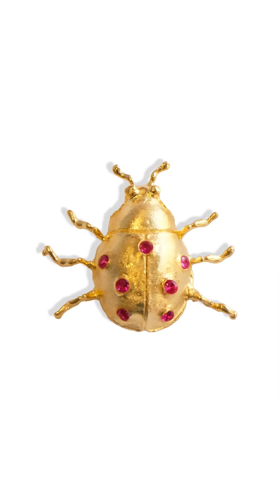 PINS